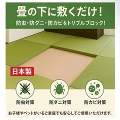 防カビ 防ダニ 防虫 シート 4.5畳（1.5畳分使用済み）の画像