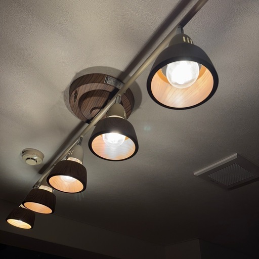 ARTWORKSTUDIO AW-0360 ハーモニー6 シーリング