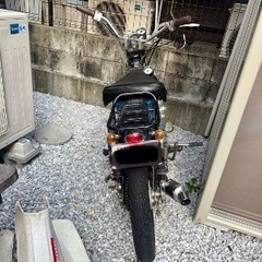 カブの画像