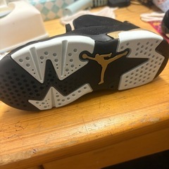 JORDAN6RETRODMP(TD)  KIDSの画像