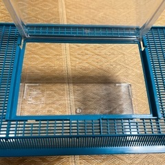 虫かご④の画像