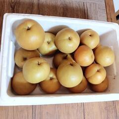 【予定者多数の為、受付停止中🙇】野菜配達の画像
