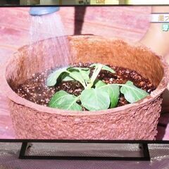 ４Ｋチューナー内蔵　大画面５０インチ　ハイセンス　５０Ｅ６８００　無線ＬＡＮの画像