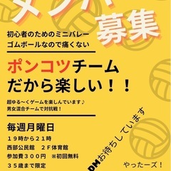 初心者専用　ソフトミニバレー