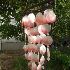 貝殻風鈴の画像