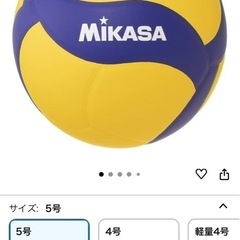 バレーボールの画像