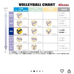 バレーボールの画像