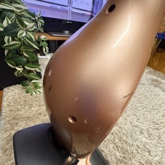 エレクトロラックス エルゴラピード リチウム ローズゴールドの画像