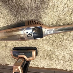 エレクトロラックス エルゴラピード リチウム ローズゴールドの画像