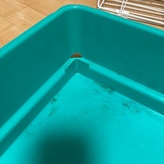 うさぎケージの画像