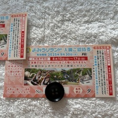 読売ランド入園ご招待券　9/30まで　ペアチケット　②  盗用防止策の撮影 の画像