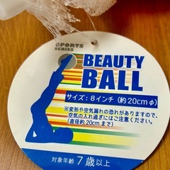 【お取引中】ビューティーボールの画像