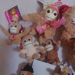 Coco&Natsu Baby ぬいぐるみの画像