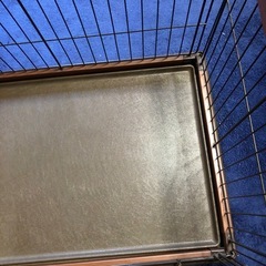 犬　猫用　ケージの画像