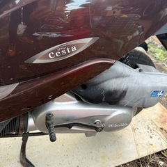 HONDA Dio cesta AF70Eの画像