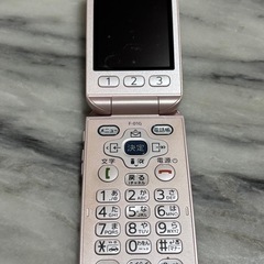 ドコモ携帯F-01G
の画像