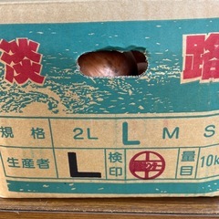 新鮮野菜の画像