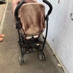 バギーの画像