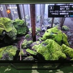２０２０年　６５インチ　４Ｋテレビ　ハイセンス　６５Ｕ８Ｆ　無線ＬＡＮの画像