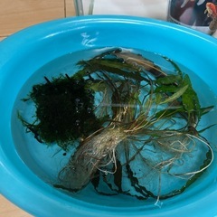 水槽10点セットの画像