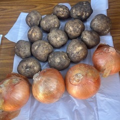 新鮮野菜の画像