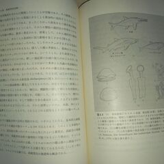 『動物の分類と進化　現代生物学入門６』ハンセン　岩波書店の画像