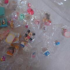 ミニチュアキッドの画像