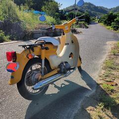 リトルカブ  黄色  中古車  2オーナー  手元金額の画像