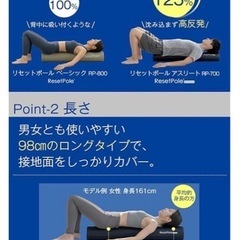 リセットポール　未使用の画像