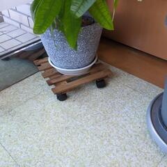 （決まりました）観葉植物2個セットの画像