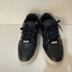 NIKE エアフォースワン セージ LOW  の画像