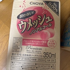 冷梅&ノンアルウメッシュの画像