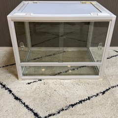 爬虫類ケージの画像