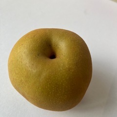 黄金桃1箱の画像