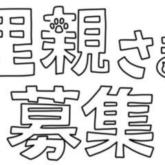 決まりました☆里親様募集