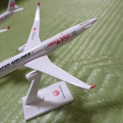 JAL　模型の画像