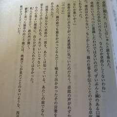 小説の画像