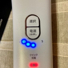 Panasonic 光美容器 ES-WH93の画像