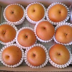 【山の上の豊水】　岐阜県　10個入　税込1800円の画像