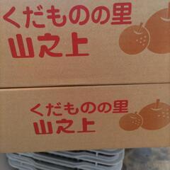 【山の上の豊水】　岐阜県　10個入　税込1800円の画像