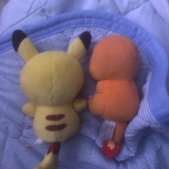 ポケセンのピカチュウとヒトカゲの画像