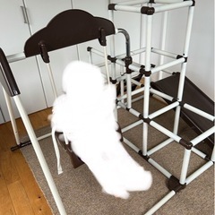 室内用ジャングルジム　の画像