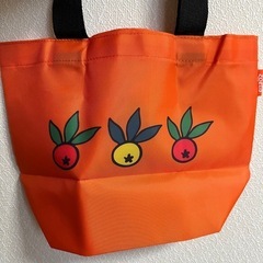 MOOMIN x zoetisムーミン お散歩バッグの画像