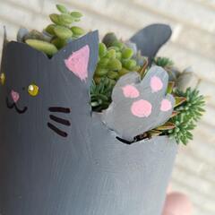 【多肉 寄せ植え】ネコのリメイク缶の画像