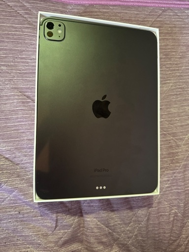 iPad Pro11インチ(M4)256GB
