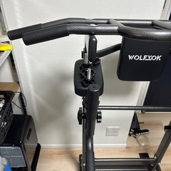 懸垂ホームトレーニングの画像