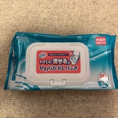 （新品未使用）新品未開封の大人用テープタイプオムツ９０枚とその付属品です。の画像
