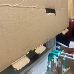 【売約済み】アルザス　クリスマスツリーの画像