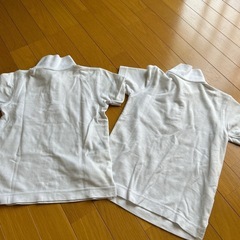 小学生　白シャツの画像