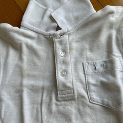 小学生　白シャツの画像